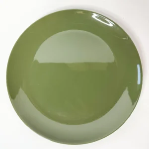 11" Diameter Green Melamine Plate